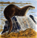Otter