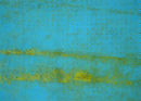 Grid V