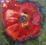 Poppy