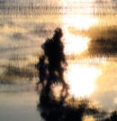 Days End