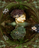 Arethusa