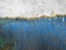 Fields Of Blue