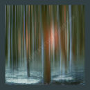 Blue Forest Dream
