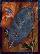 Abstract Leaf and thistles. 