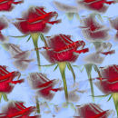 Multiple Roses Blue