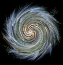 Dandelion Swirl