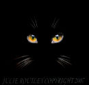 Cats Eyes