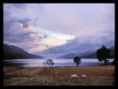 Glen Esk, Scotland