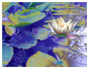 Homage To Monet
