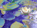 Homage To Monet