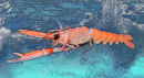 Langoustine 1