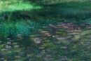 Still Waters