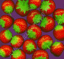 Strawberry Fayre