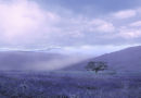 Dartmoor in Blue