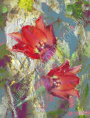 Tulip Impressions