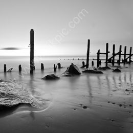 Ghostly Remains - Black and White