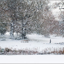 Caught in a Snow Storm