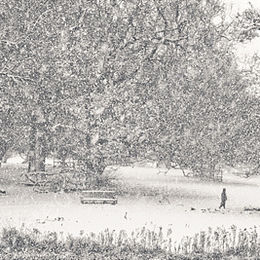 Snow Storm