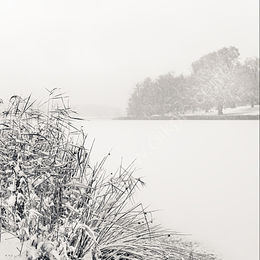 Frozen