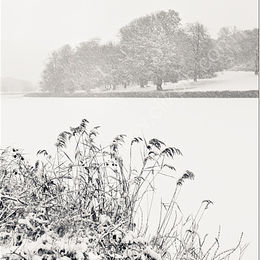 Frozen Lake