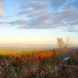 Across the Broads