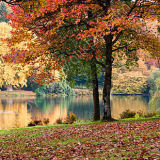 Coloured Reflections
