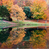 Autumn Reflections