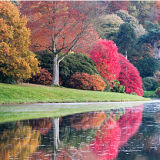 Magic of Autumn