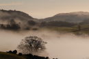 Buittle Church in mist