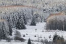 Snowy landscape in Galloway