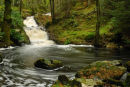 Kenick Burn