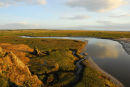 Mersehead Saltmarsh