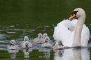 A proud dad and his family