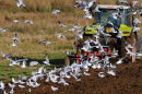 Ploughing near Loch Ken