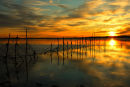 Point Net at Creetown