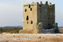 Roe Deer at Threave Castle