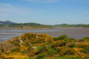 Rough Island in the Solway Firth