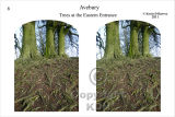 Avebury Stereocards debut!