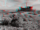 Dungeness