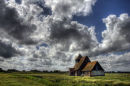 I win a bottle of wine!