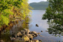 View of Loch Lomond from Inversnaid Hotel