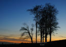 Beachborough Moonrise