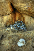White Rock with Stones