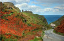 The Road to Tintagel Castle