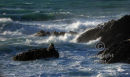 Waves at Newquay
