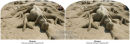 Monster Sandcastle