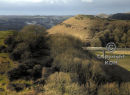 The Folkestone Downs