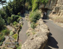 Zig Zag path from the Leas