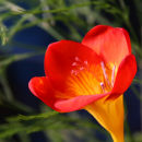Splash of vibrant colour