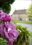 Cotswolds - 395